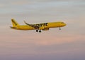 Spirit Airlines jet landing in the evening at Love Field in Dallas, Texas.