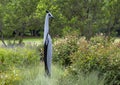 Springstone sculpture titled Guineafowl by Passmore Mupindiko in the Fort Worth Botanic Garden.