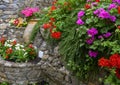 Stone plantar with red and purple geraniums and red and white begonias in Camoglia, Italy