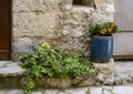 Planter with IVY and flower pot with orange flowers in Eze, France Royalty Free Stock Photo