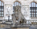 Stone sculpture Lion with Shield, Neue Burg or New Castle, Vienna, Austria Royalty Free Stock Photo