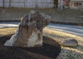 Ten-ton hog head carved from a limestone boulder by Orville Skaggs at the Alumni Building at the University of Arkansas.