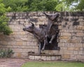 Longhorn Steer bronze sculptures by Anita Pauwels, part of  a public art installation titled `Cattle Drive` in Central Park Royalty Free Stock Photo