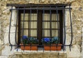 Two Planters with lovely bright blue blue Dames Rocket flowers in Saint Paul-De-Vence, Provence, France