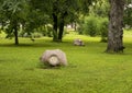 Two of seven Texas Granite and Terrazo sculptures making up `Pollen` by Cam Shoepp in the Forth Worth Botanic Garden.