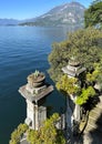 Small Agave americana Variegata in the terraced lakefront Garden of the Villa Cipressi in Varenna..