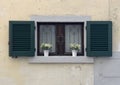 Symmetrical flower pots and open green wooden shutters on a window in Cortona, Italy.