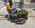 Vendor with his small cart full of artichokes for sale in the Medina Souk in Meknes, Morocco.