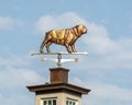 Weather vane featuring the Yale mascot, a bulldog with the title `Handsome Dan`