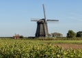 Windmill photographed from outside the Schermerhorn Museum Mill, Stompetoren, Netherlands Royalty Free Stock Photo