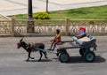 Young boy driving a donkey pulled four-wheeled cart in Luxor, Egypt.