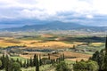 Picturesque landscape of Tuscany countryside with golden and green rolling hills and with isolated cypress trees Royalty Free Stock Photo