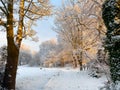 A pictureesque winter morning as the trees and ground are covered in snow as the sun begins to rise Royalty Free Stock Photo