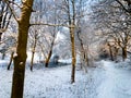 A pictureesque winter morning as the trees and ground are covered in snow as the sun begins to rise Royalty Free Stock Photo