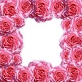 Pictureframe of roses Royalty Free Stock Photo