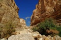 Pictureque Ein Avdat gorge in Israel