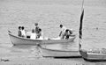 Pictures of Brazil. The People and the brazilian lands.