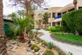 Pictures of a path through the cactus garden with flowers and a decorative statue of a bird