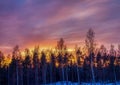 Pictures of a sunset over a forest near the Finnish town of Rauma