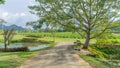 Pictures of the walkway under the shade of large trees are beautiful. Royalty Free Stock Photo