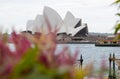 a view of sydney opera house from across the water with a passenger boat and dock