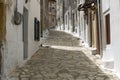 Picturesque alley in Greece