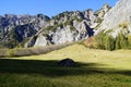 picturesque alpine landscape with pine trees and blue sky in Gramai Alm in Austria on sunny day in October Royalty Free Stock Photo