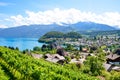 Picturesque Alpine village Spiez located by Lake Thun in Switzerland photographed in the summer season. Green vineyards on the Royalty Free Stock Photo