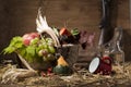 Picturesque autumn composition with basket, fruits, pumpkin, win Royalty Free Stock Photo