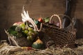 Picturesque autumn composition with basket, fruits, pumpkin, win Royalty Free Stock Photo
