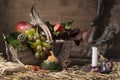 Picturesque autumn composition with basket, fruits, pumpkin, win Royalty Free Stock Photo