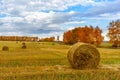 Picturesque autumn landscape with beveled field and straw bales. Royalty Free Stock Photo