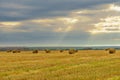 Picturesque autumn landscape with beveled field and straw bales. Royalty Free Stock Photo