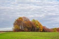 Picturesque autumn landscape with a group of trees in autumn colors in the middle of a green field Royalty Free Stock Photo