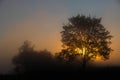 A picturesque autumn landscape, a lonely tree against the background of a misty dawn, on the river bank Royalty Free Stock Photo