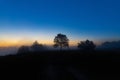 A picturesque autumn landscape, a lonely tree against the background of a misty dawn, on the river bank Royalty Free Stock Photo