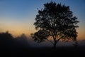 A picturesque autumn landscape, a lonely tree against the background of a misty dawn, on the river bank Royalty Free Stock Photo