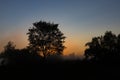 A picturesque autumn landscape, a lonely tree against the background of a misty dawn, on the river bank Royalty Free Stock Photo