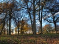 Fall. Autumn Park. Autumnal Trees and Leaves in sun rays Royalty Free Stock Photo