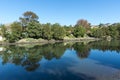 Picturesque autumn landscape on a river