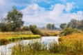 Picturesque autumn landscape with river among thickets of trees and reeds and blue sky with white clouds