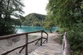 Picturesque autumn landscape turquoise lake and tree on the shore, gray sky, Plitvice Lakes National Park