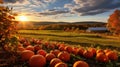 picturesque autumn oranic farm