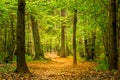 Picturesque autumn park in Russia Royalty Free Stock Photo