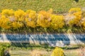 Picturesque autumnal landscape with bright yellow trees near country road. aerial view