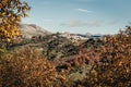 Picturesque autumnal landscape of town in mountains. Cartajima in Malaga, Spain