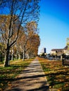 Picturesque autumnal park with a winding pathway lined with trees