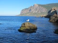 Seagull on a stone in the middle of the sea against the background of mountains on the shore of a picturesque bay on a sunny day, Royalty Free Stock Photo