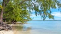 Picturesque Beach in Grand Cayman Royalty Free Stock Photo