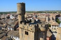 Olite Medieval Castle Navarra Spain